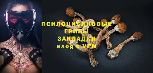 2c-b Белокуриха