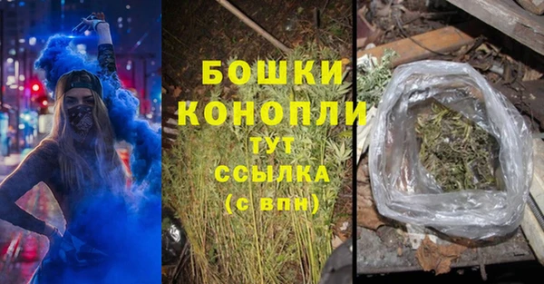 шишки Беломорск