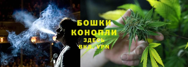 2c-b Белокуриха