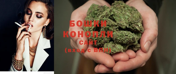 шишки Беломорск