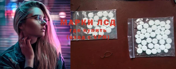 шишки Беломорск