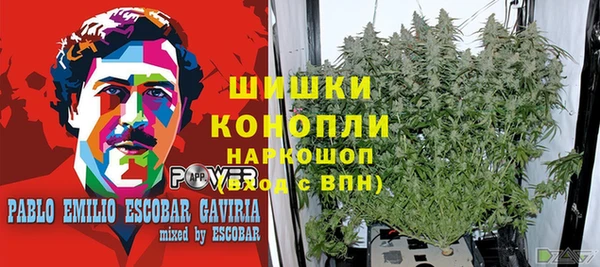 шишки Беломорск