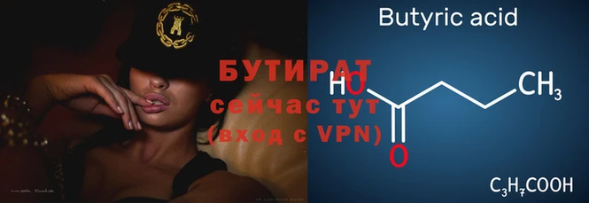 шишки Беломорск