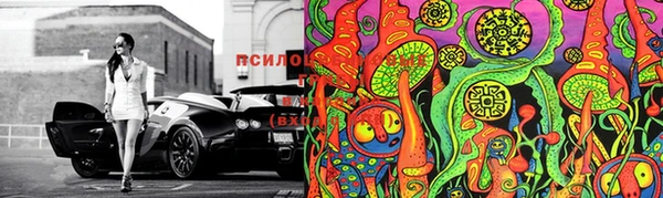 шишки Беломорск