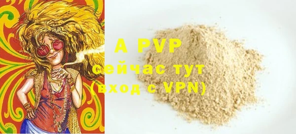 шишки Беломорск