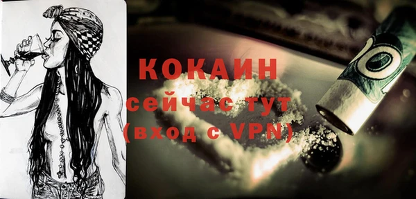 шишки Беломорск