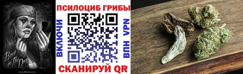 hydra ссылка  Верхний Тагил  Псилоцибиновые грибы Psilocybine cubensis 